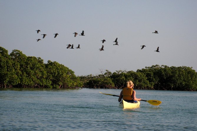 Kayak Eco Tour - What the $296 price really covers