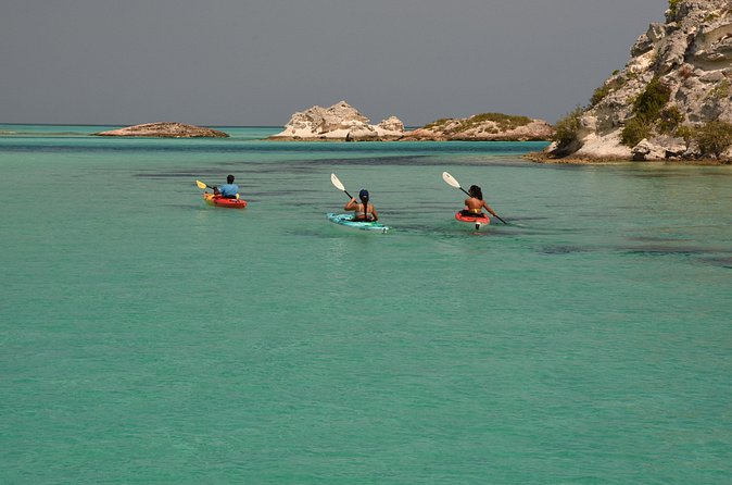 Kayak Eco Tour - Tide and weather shape the day