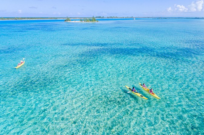Kayak Eco Tour - Who will enjoy this Providenciales kayak tour