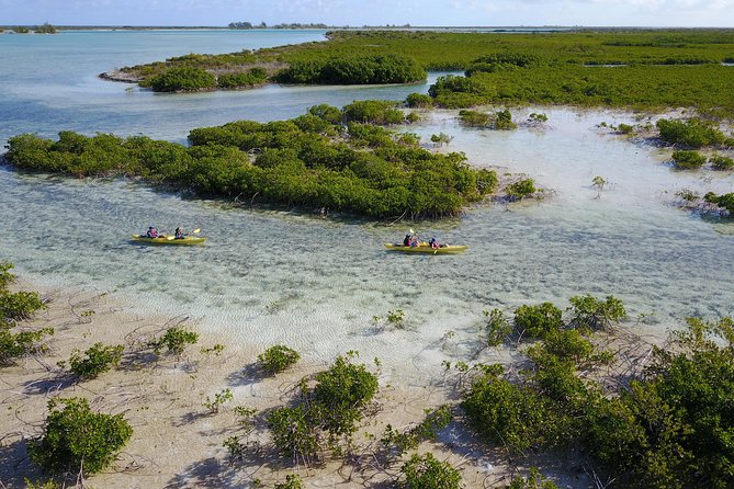Kayak Eco Tour - Booking, cancellations, and the small details