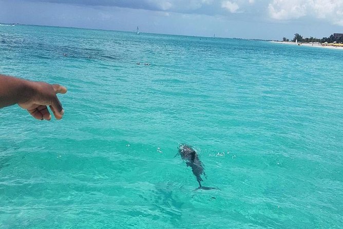 Key to the Sea Parasailing- Private Charter - Choosing the water dip