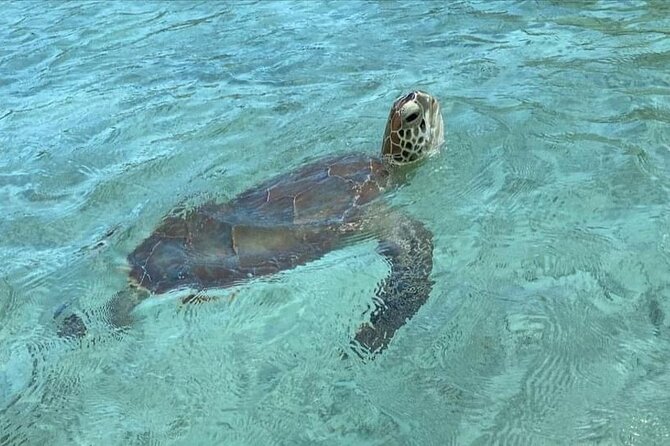 Let me take you to Caicos Jetski safari Private Tour - From Long Bay Beach to open-water adventure