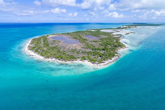 Mangrove Cay and Iguana Island Tours - Key points to know before booking