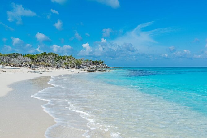 Mangrove Cay and Iguana Island Tours - Mangrove Cay, where the water does the talking