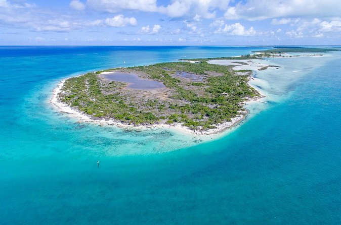 Mangrove Cay and Iguana Island Tours - The guides make the difference
