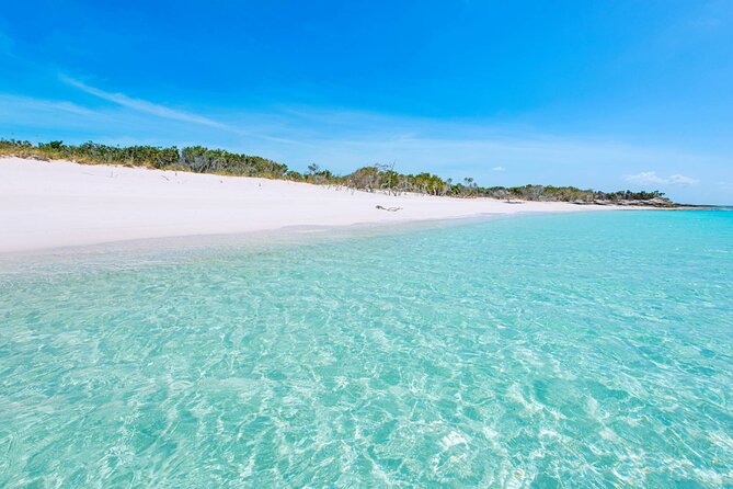 Mangrove Cay and Iguana Island Tours - Pickup, timing, and the small print that matters