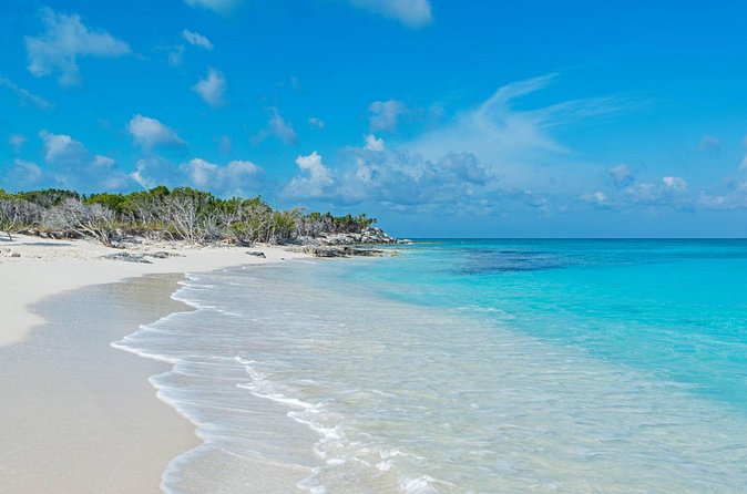 Mangrove Cay and Iguana Island Tours - Is $150 a fair price?