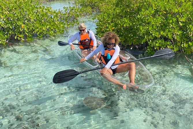 Mangrove Cay And Iguana Island Venture In Turks And Caicos Island - Why the clear kayak makes a difference