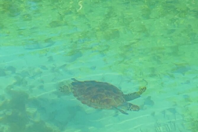 Mangrove Cay And Iguana Island Venture In Turks And Caicos Island - What the $145 price includes