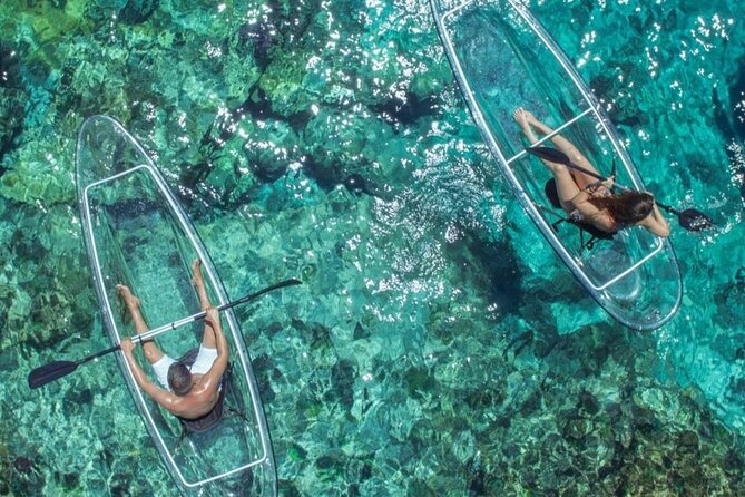 Mangrove Cay Tour - What makes this Mangrove Cay trip special