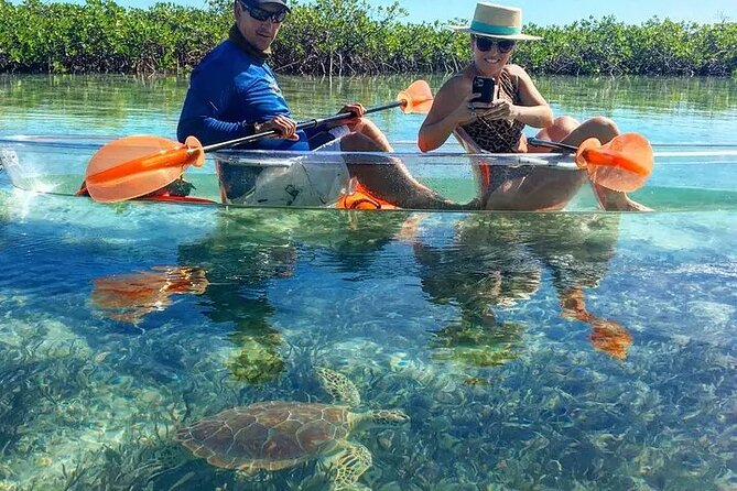 Mangrove Cay Tour - What the guides add to the experience