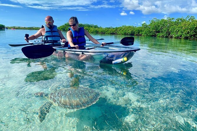 Mangrove Clear Kayak Tour - Quick points about this Mangrove Cay tour