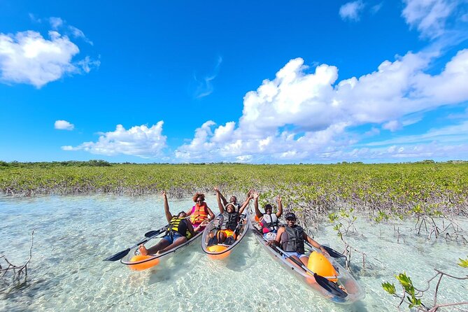 Mangrove Clear Kayak Tour - Who should book this clear kayak tour?