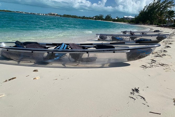 Mangrove & Iguana Clear Kayak Tour - What the 2.5-hour outing actually includes