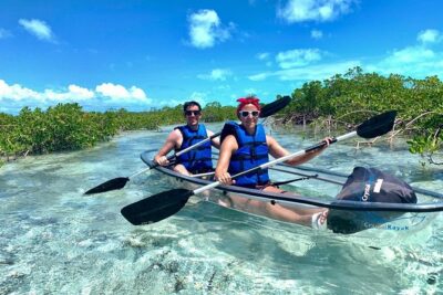 Mangrove & Iguana Clear Kayak Tour