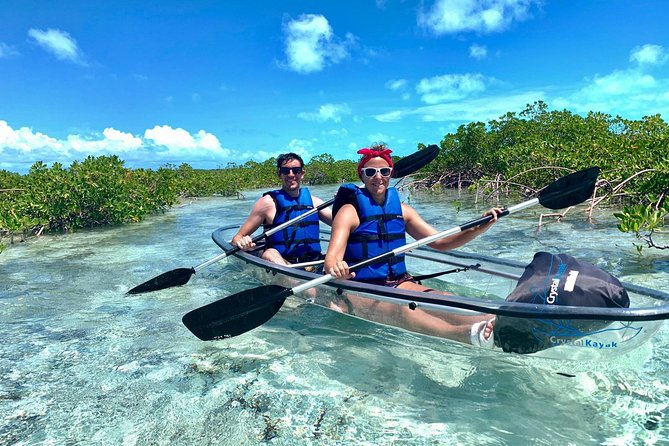 Mangrove & Iguana Clear Kayak Tour - Iguana Island brings the tour ashore