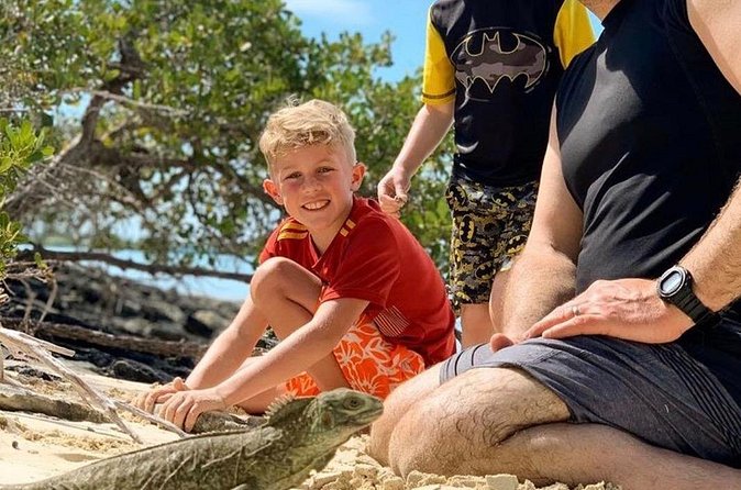 Mangrove & iguana Tour - High tide is the detail that can make or break the trip