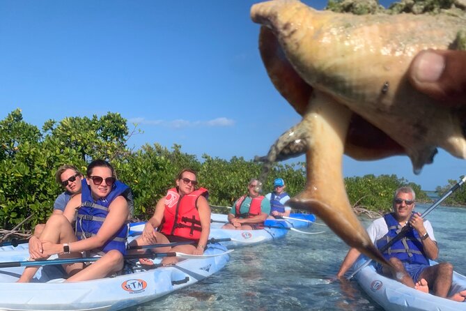 Mangroves Kayak Tour - Wildlife spotting, from turtles to iguanas