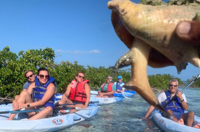 Mangroves Kayak Tour - Tide, weather, and the rhythm of the outing