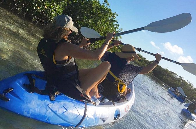 Mangroves Kayak Tour - The communication problems to take seriously