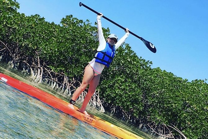 Mangroves Stand-Up Paddleboard Tour - Key points to know before you book