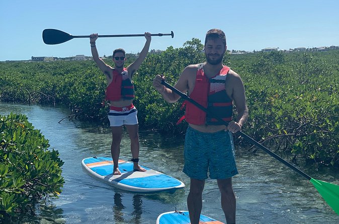 Mangroves Stand-Up Paddleboard Tour - The guide makes the difference