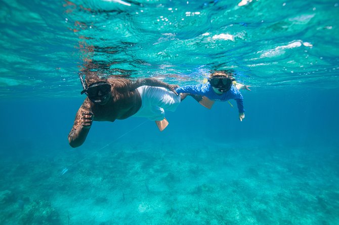 Morning Half Day Cruise from Providenciales with Snorkeling and Iguana Island - What the crew adds to the day