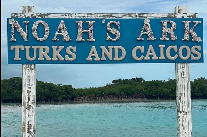 Noahs Ark Catamaran Trip - What to bring and how to plan your afternoon