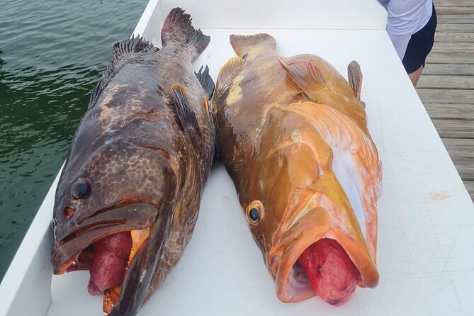 Private 1/2 Day Afternoon Bottom Fishing Charter on "Shady Grady" - Why this charter works best for a small private group