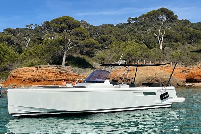 Private Afternoon Tour Fjord 38 Ben - Snorkeling, dolphins, and optional extras