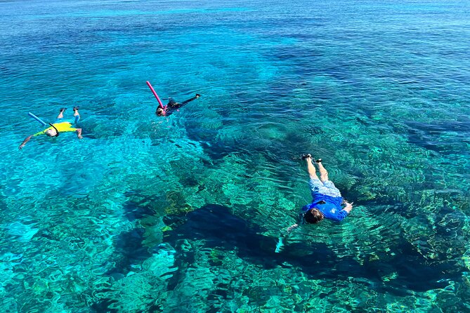 Private Boat Island Hopping & Snorkeling in Turks & Caicos 4Hrs - La Famille Express shipwreck for photos and snorkeling