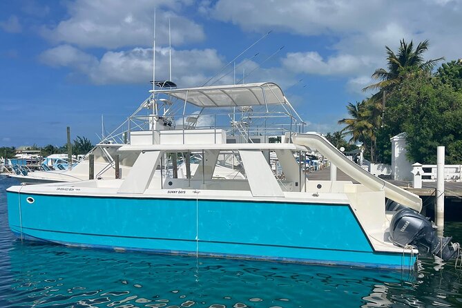 Private Boat Tour with Snorkeling and Beach BBQ - A private half-day on the Caicos Banks