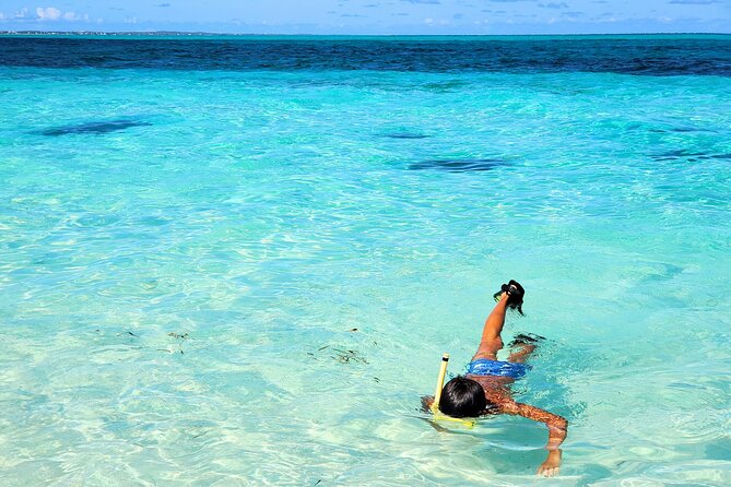 Private Boat Tour with Snorkeling, Island Hopping, and Noahs Ark - Which groups will enjoy this most