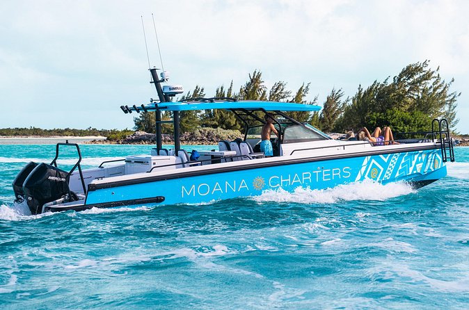Private Half Day Luxury Snorkeling Charter - Shipwrecks Add a Different Kind of Snorkel
