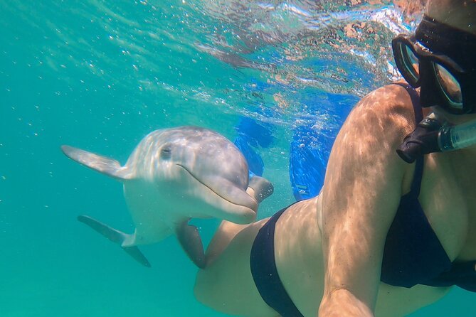 Private Reef, Beach and Sandbar Tour from Providenciales - Choosing between Half Moon Bay and Little Water Cay