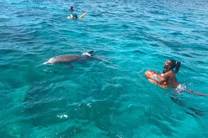 Private Reef, Beach and Sandbar Tour from Providenciales - What the private price really buys you