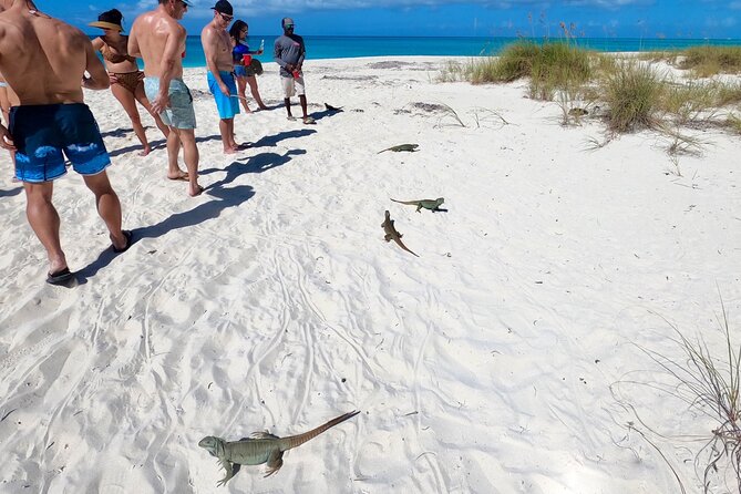 Private Reef, Beach and Sandbar Tour from Providenciales - Setting out from Grace Bay Beach