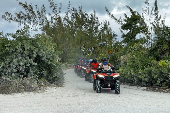 Providenciales ATV/UTV Beach Bounce Tour - Leeward Beach and the brown pelican connection