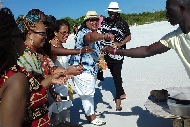 Providenciales Group Island Tour - Sapodilla Bay preserves messages from shipwrecked sailors