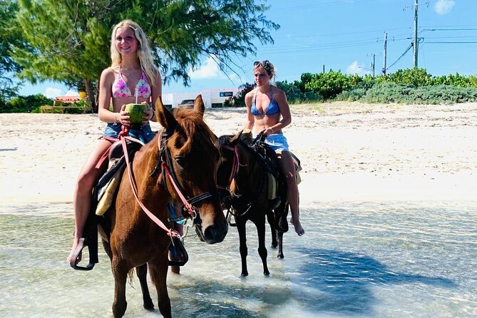 Shared Horseback Riding in Turks and Caicos - Pickup makes the short tour easier