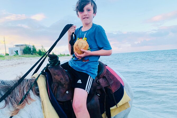 Shared Horseback Riding in Turks and Caicos - How the $210 price measures up