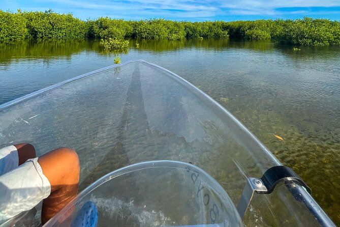 Sip & Sea Mangrove Glass Boat Tour Grand Turk Island - North Creek and the old canal machinery