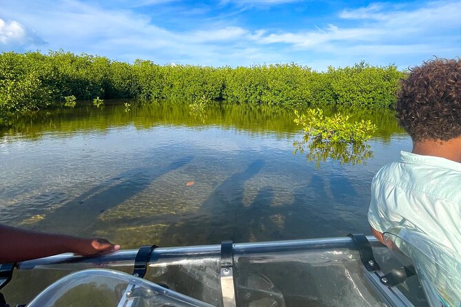 Sip & Sea Mangrove Glass Boat Tour Grand Turk Island - Why the private format matters