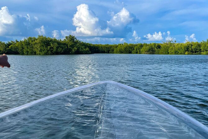 Sip & Sea Mangrove Glass Boat Tour Grand Turk Island - What the crew adds to the outing