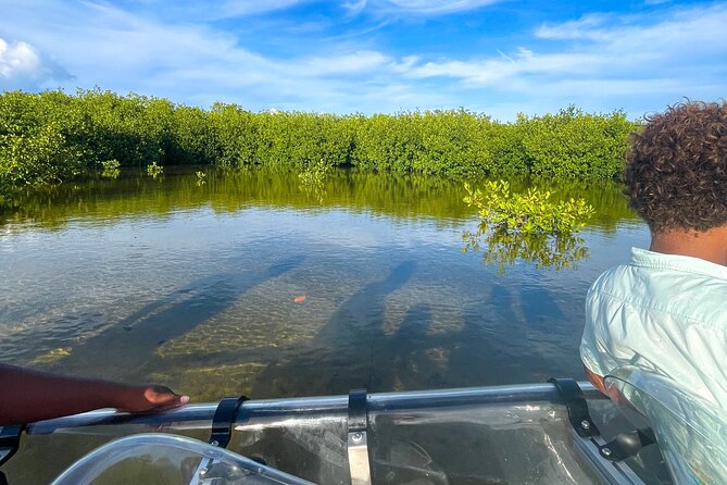 Sip & Sea Mangrove Glass Boat Tour Grand Turk Island - Who will enjoy this Grand Turk tour most