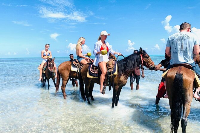 Small Group Horseback Riding Adventure in Caicos Islands - From your hotel to Malcolm Road