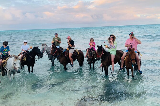 Small Group Horseback Riding Adventure in Caicos Islands - The horses and the human touch