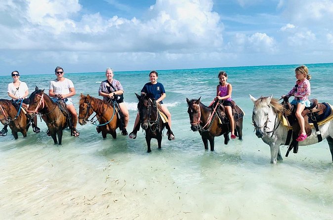Small Group Horseback Riding Adventure in Caicos Islands - Is $210 a fair price?