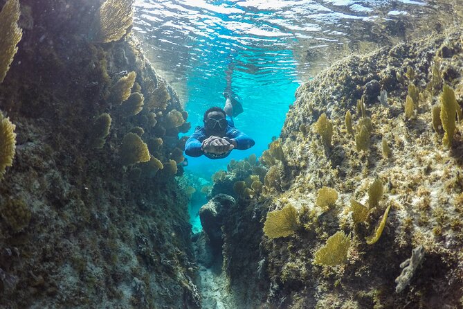 Snorkel Eco Tour - Snacks, drinks, and the boat ride