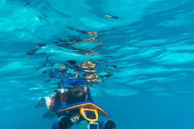 Snorkeling with Sea Scooters and Sea Adventure - Offshore - Shoreline Snorkeling, Not a Boat Ride